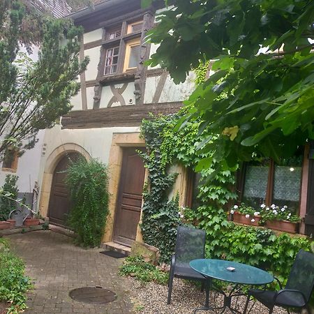Studio La Grenouillere Turckheim Ngoại thất bức ảnh