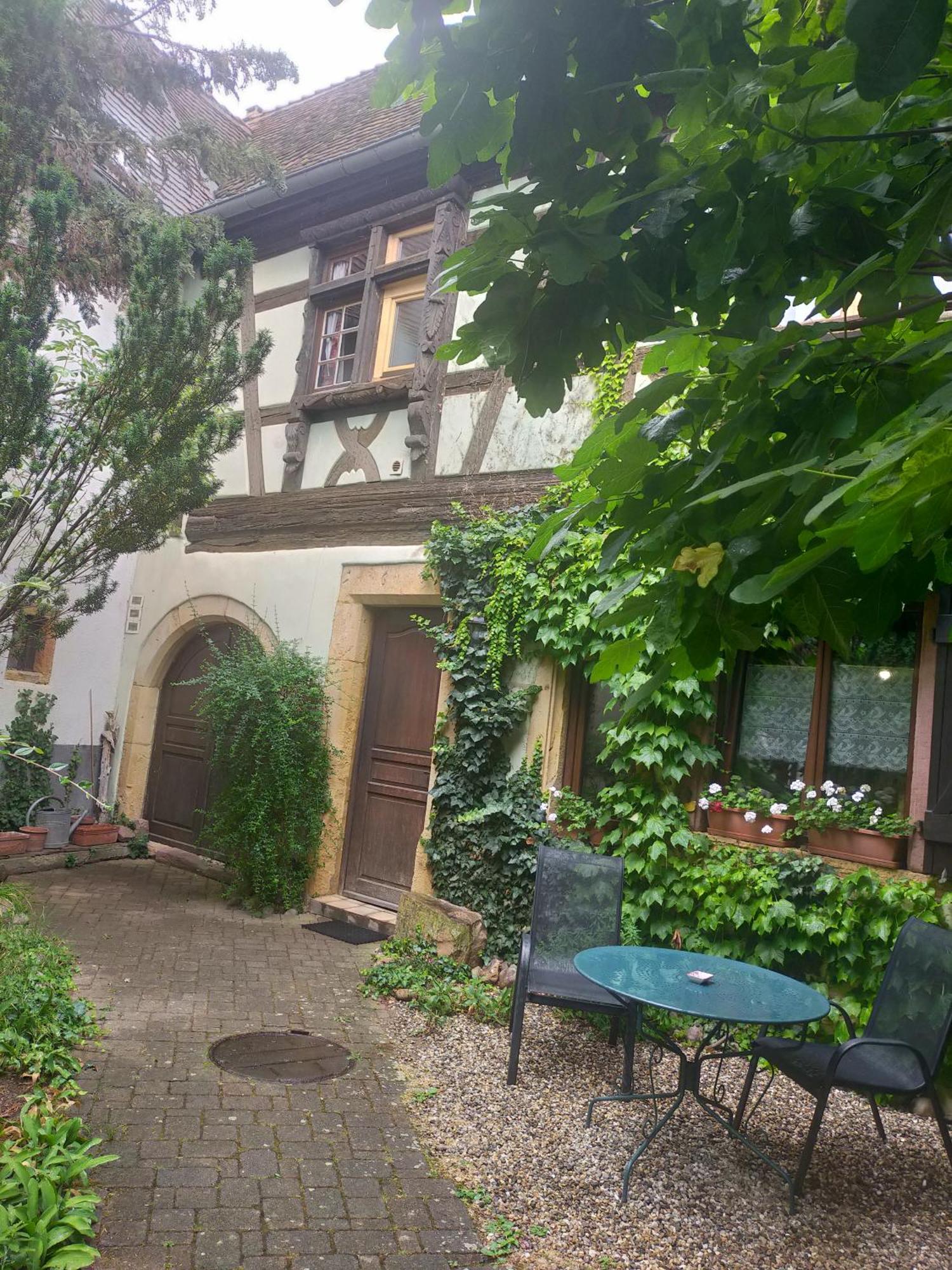 Studio La Grenouillere Turckheim Ngoại thất bức ảnh
