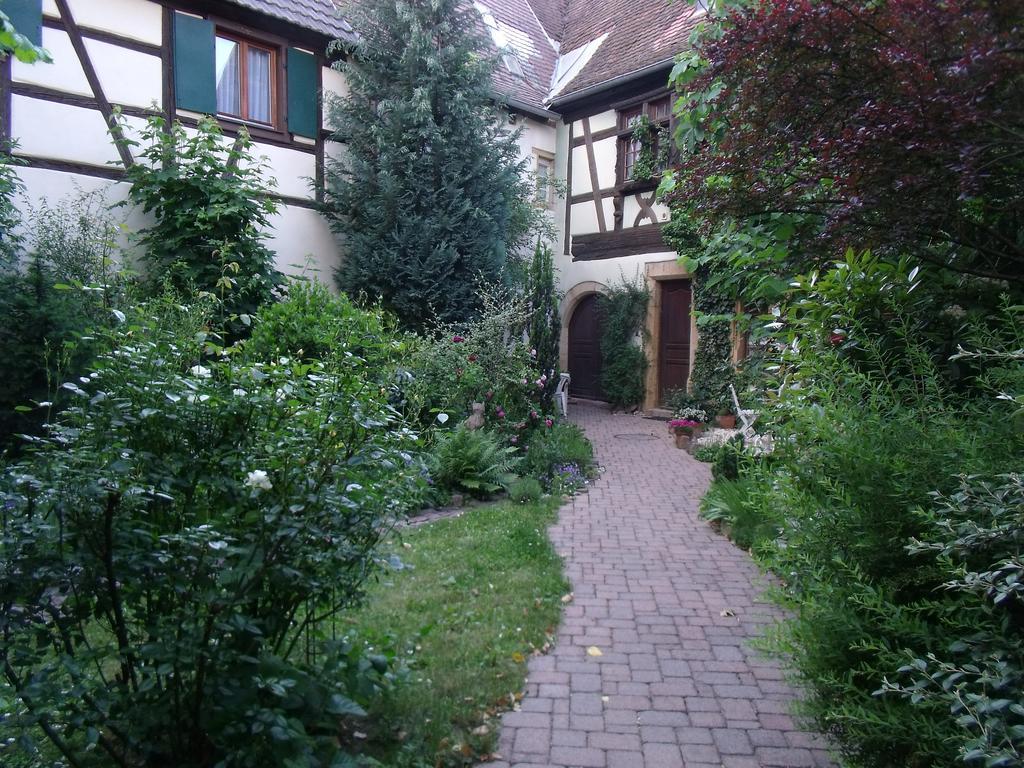 Studio La Grenouillere Turckheim Phòng bức ảnh